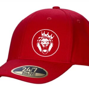 Cap - Snapback (Youth/Adult)