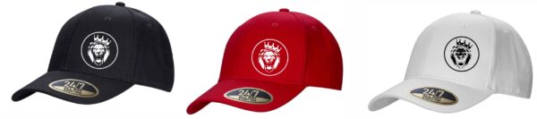Cap - Snapback (Youth/Adult)