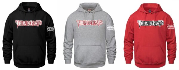 Hooded Sweatshirt (Youth/Adult)