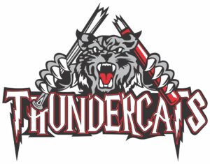 Thundercats Logo
