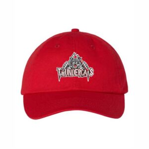 Headwear - Cap - Snapback (Youth/Adult)