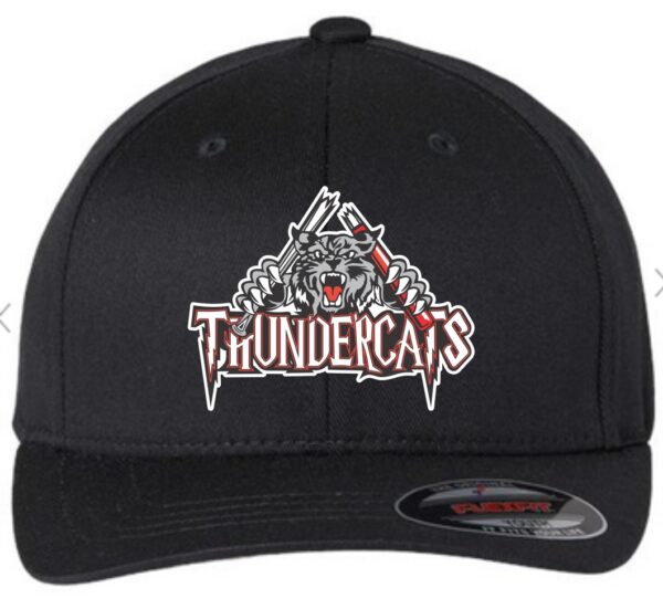 Headwear - Cap - Flexfit (Youth/Adult)