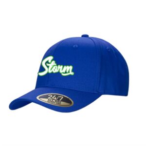 Headwear - Cap - Snapback (Youth/Adult)
