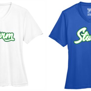 T-Shirt - Performance - Short Sleeve (Ladies V-Neck)