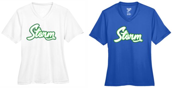 T-Shirt - Performance - Short Sleeve (Ladies V-Neck)